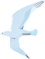 Flying Bird